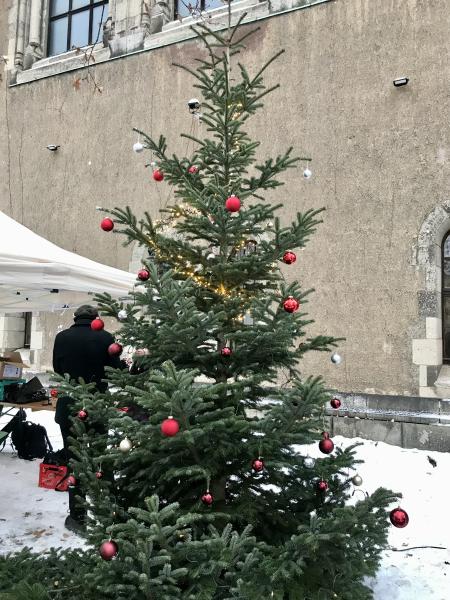 Adventsmarkt und Konzert